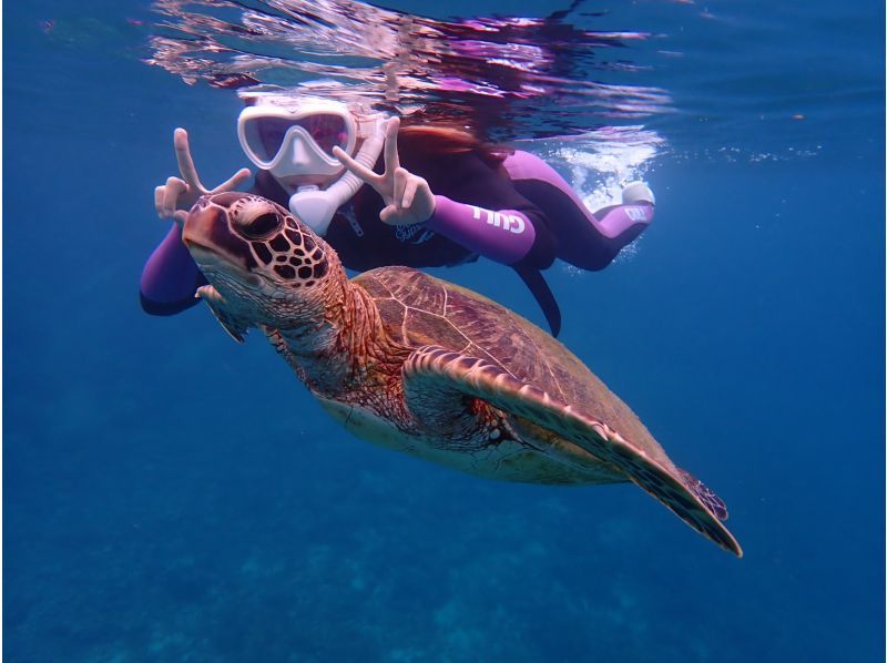 【宮古島/送迎】1組貸切！ウミガメと泳げる貸切シュノーケルツアー！遭遇率100%！ウミガメ・ニモ・珊瑚を全部案内！