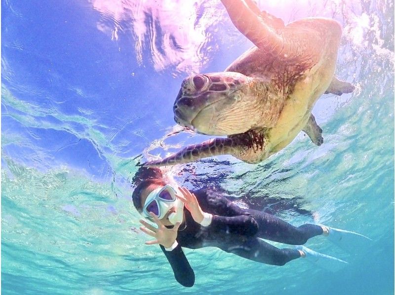 《Miyakojima Enjoyment Plan》[Sea Turtle Snorkeling & Sunset SUP Tour] Sea Turtle Encounter Rate 100% Ongoing! Sure to look great on SNS!の紹介画像