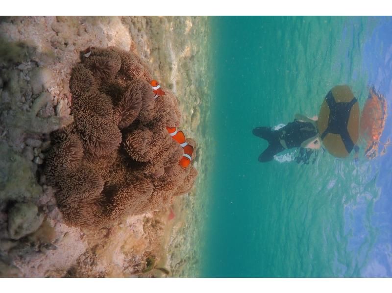 [沖繩·宮古島/伊良部島]我們去看尼莫吧！可以和孩子一起游泳的“水晶般清澈的浮潛之旅” 免費裝備租賃！の紹介画像
