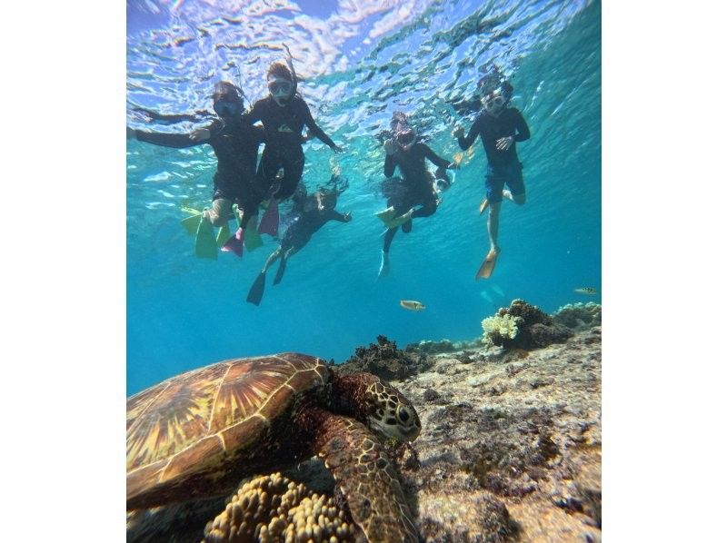【沖縄・宮古島】珊瑚礁が隆起した島でビーチエントリー・スキンダイビングツアー！の紹介画像