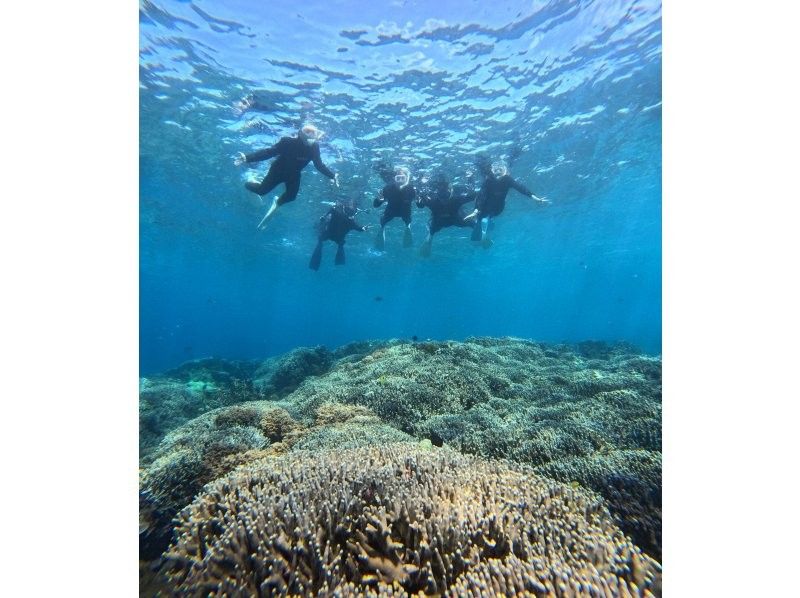 【沖縄・宮古島】船酔い無し素潜り体験ビーチエントリー・スキンダイビングツアー！の紹介画像