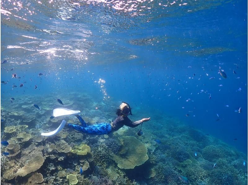 【沖縄・宮古島】日本最大級の珊瑚礁「八重干瀬」にてスキンダイビングツアー！の紹介画像