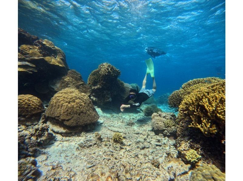 【沖縄・宮古島】伊良部島周辺ボートシュノーケル、スキンダイビングツアー！の紹介画像