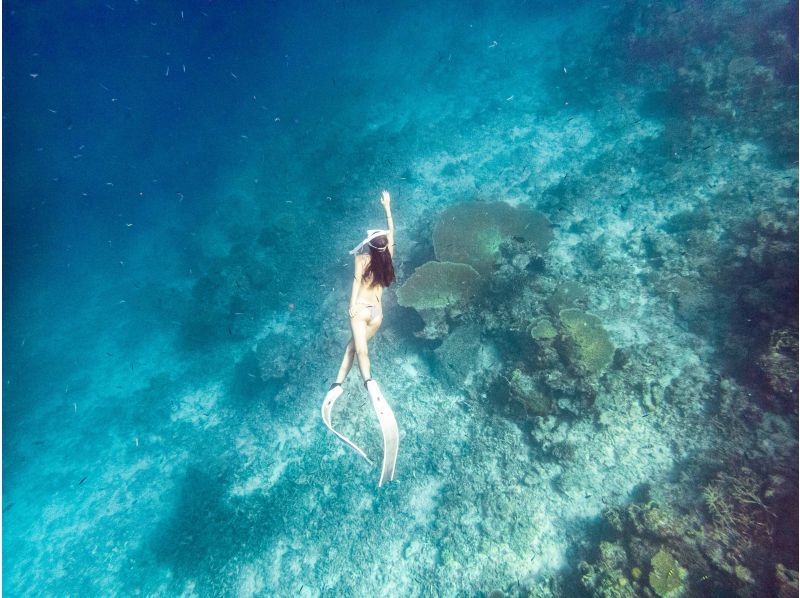 【沖縄・宮古島】伊良部島周辺ボートシュノーケル、スキンダイビングツアー！の紹介画像