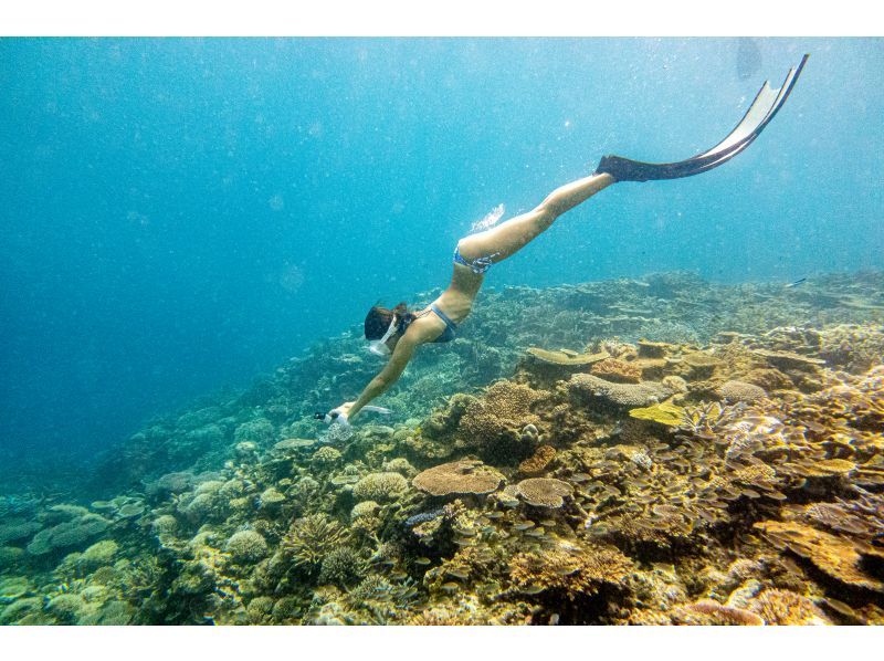【沖縄・宮古島】伊良部島周辺ボートシュノーケル、スキンダイビングツアー！の紹介画像