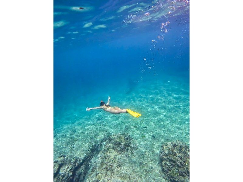 【沖縄・宮古島】伊良部島周辺ボートシュノーケル、スキンダイビングツアー！の紹介画像