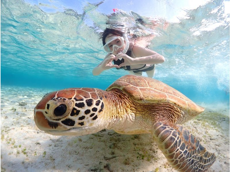 Miyakojima "Encounter rate 100% continues" [Sea turtle snorkeling] You can meet Nemo! ★Wetsuit and photo data are free! ★Reservations on the day are OK!の紹介画像