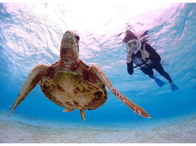 [Miyakojima] Spring sale underway! Great on SNS ♡ Sea turtle snorkel! Encounter rate 99.99%! Photo present ★ Beginners welcome (Reservations accepted until 12:00 on the day)の紹介画像