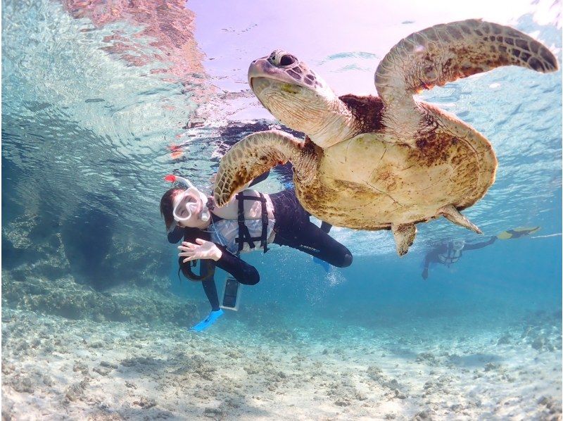 宮古島《遭遇率100%継続中》【ウミガメシュノーケリング】ニモとも会える！★送迎相談可！★ウェットスーツ・撮影データ無料！★当日予約OK！の紹介画像