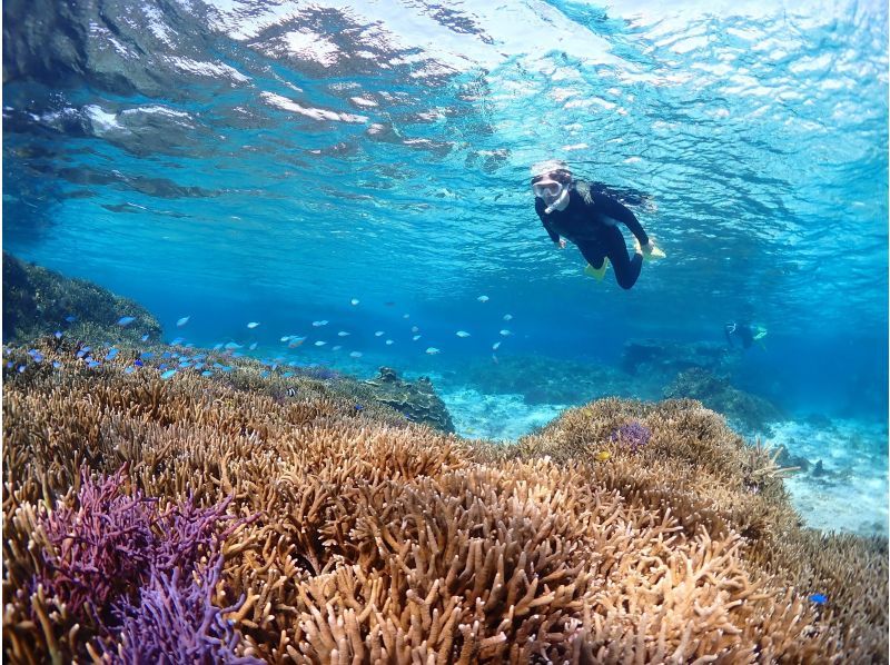 宮古島でシュノーケリングはいつからいつまでできる？ベストシーズンとおすすめツアーを徹底紹介！