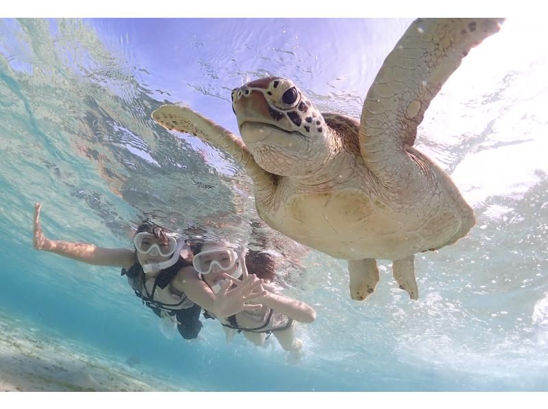 [Miyakojima] 《Encounter rate is still 100%!》 《Take photos with a high-performance camera and post them on social media♡》 Sea turtle snorkeling! ★Reservations accepted on the day!の紹介画像
