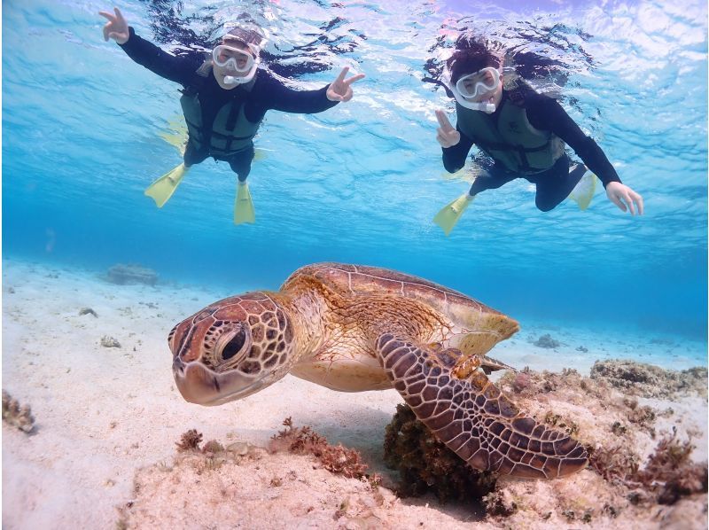 SALE! [Miyakojima] 《Encounter rate is still 100%!》 《Take photos with a high-performance underwater camera and make them look great on social media♡》 Sea turtle snorkeling! ★Reservations available on the day!の紹介画像