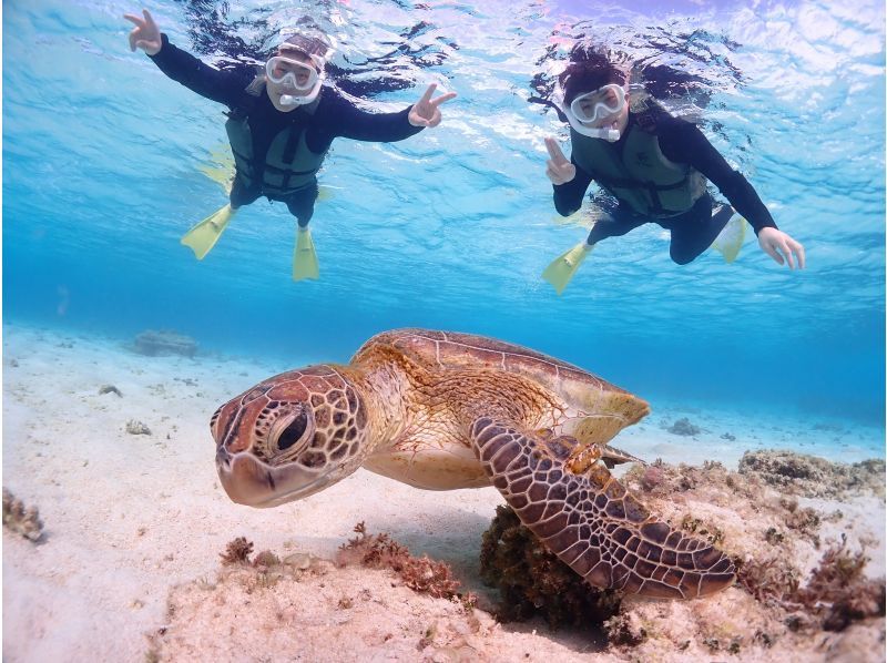 Miyakojima "Encounter rate 100% continues" [Sea turtle snorkeling] You can meet Nemo! ★Wetsuit and photo data are free! ★Reservations on the day are OK!の紹介画像