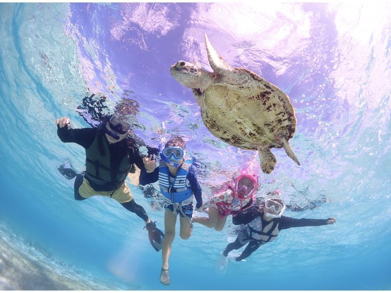 Miyakojima "Encounter rate 100% continues" [Sea turtle snorkeling] You can meet Nemo! ★Wetsuit and photo data are free! ★Reservations on the day are OK!の紹介画像