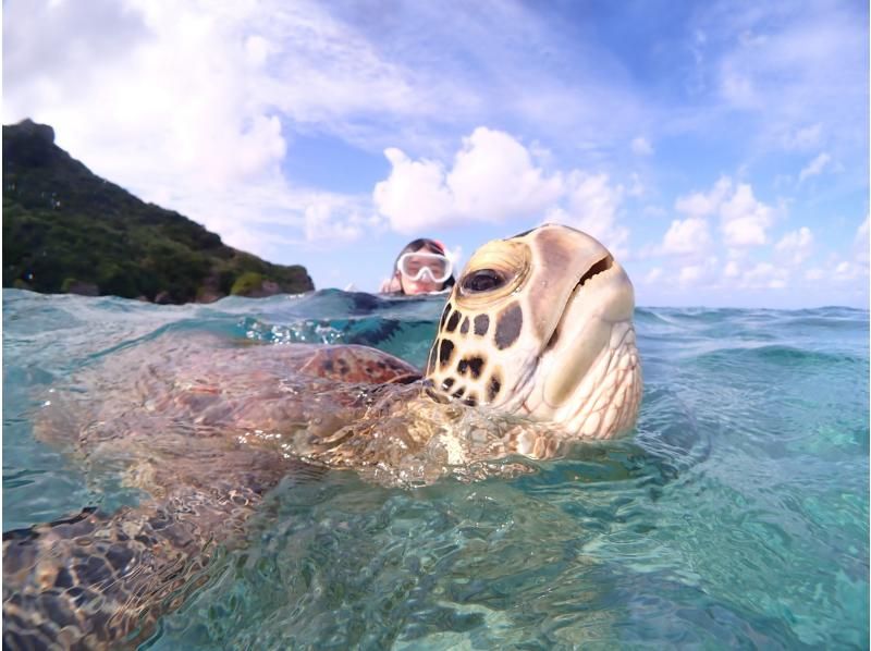 SALE! [Miyakojima] 《Encounter rate is still 100%!》 《Take photos with a high-performance underwater camera and make them look great on social media♡》 Sea turtle snorkeling! ★Reservations available on the day!の紹介画像