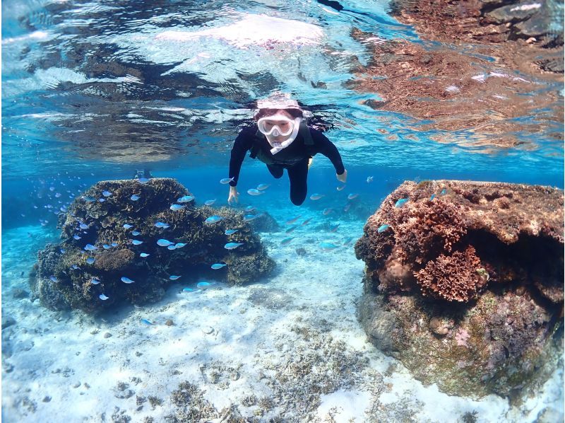 Miyakojima "Encounter rate 100% continues" [Sea turtle snorkeling] You can meet Nemo! ★Wetsuit and photo data are free! ★Reservations on the day are OK!の紹介画像