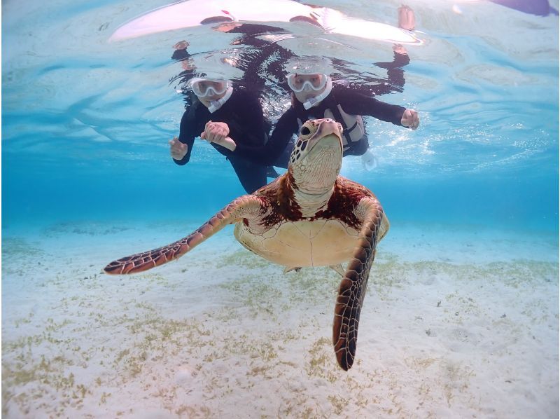 Miyakojima "Encounter rate 100% continues" [Sea turtle snorkeling] You can meet Nemo! ★Wetsuit and photo data are free! ★Reservations on the day are OK!の紹介画像