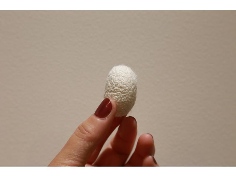 [Tokamachi, Niigata] Original Textiles: Handwoven Scarves/Placemats in the Kimono Townの紹介画像