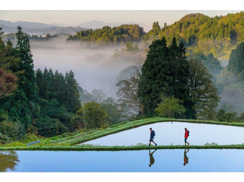 【新潟・十日町】絶景・星峠の棚田を独占！専属ガイドと古道を歩く十日町棚田トレッキングの紹介画像