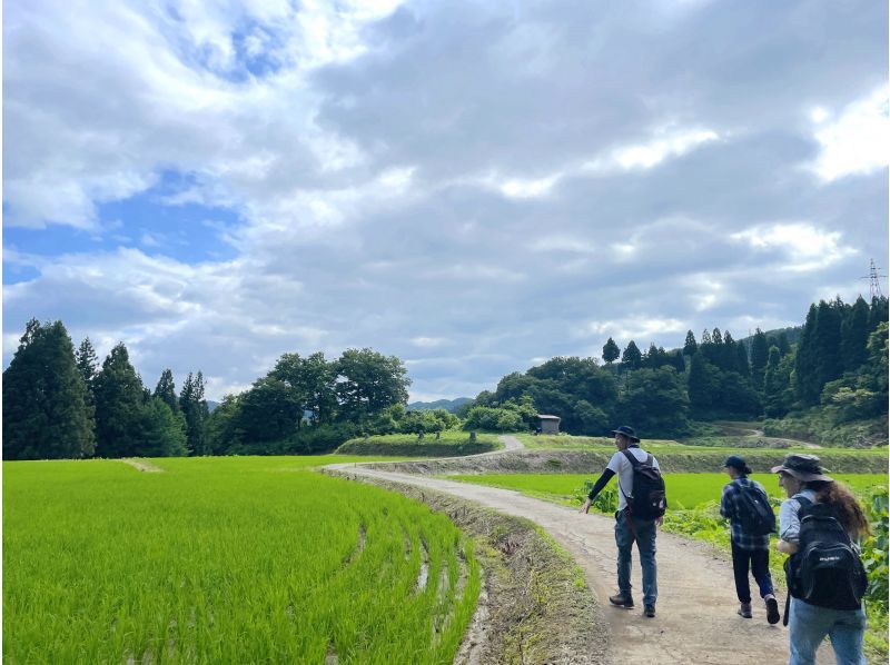 [Niigata, Tokamachi] Enjoy the spectacular view of the Hoshi Pass rice terraces all to yourself! Tokamachi Rice Terrace Trekking along the ancient path with a private guideの紹介画像