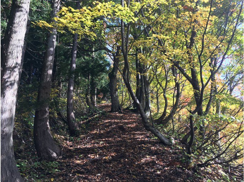 [Niigata, Tokamachi] Enjoy the spectacular view of the Hoshi Pass rice terraces all to yourself! Tokamachi Rice Terrace Trekking along the ancient path with a private guideの紹介画像