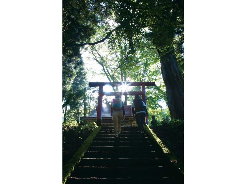 【新潟・十日町】絶景・星峠の棚田を独占！専属ガイドと古道を歩く十日町棚田トレッキングの紹介画像