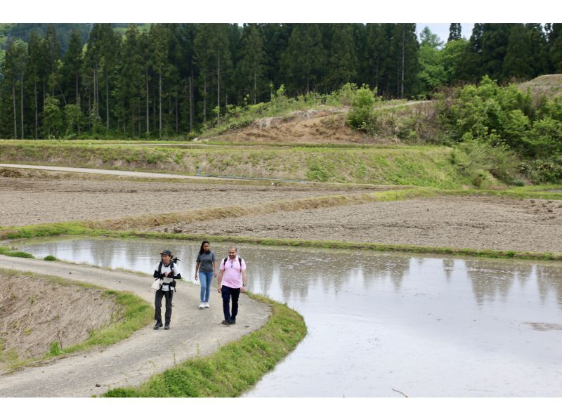 【新潟・十日町】絶景・星峠の棚田を独占！専属ガイドと古道を歩く十日町棚田トレッキングの紹介画像