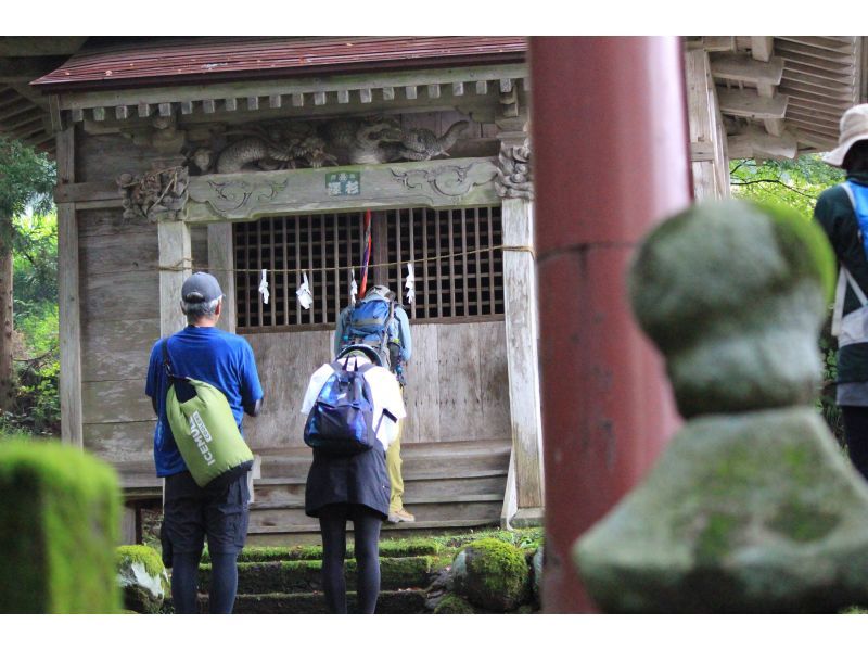 【新潟・十日町】絶景・星峠の棚田を独占！専属ガイドと古道を歩く十日町棚田トレッキングの紹介画像