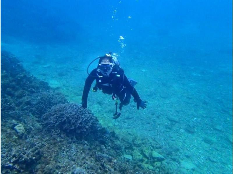 [沖繩恩納]潛水和浮潛（藍色洞穴課程）の紹介画像