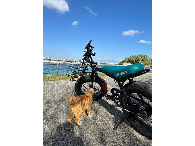 [沖繩/石垣島]電動自行車租借自行車！電動輔助，涼爽又環保的觀光♪の紹介画像