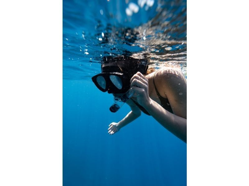 【古宇利島】プロカメラマンによる水中撮影付きシュノーリングツアー