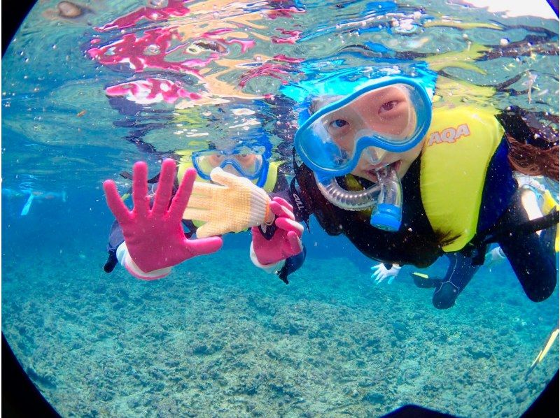 完全貸切プラン【美ら海近く】何歳でも参加OK！・ビーチシュノーケリング【写真撮影・餌付け体験・タオル付】本部・北部・やんばるの紹介画像