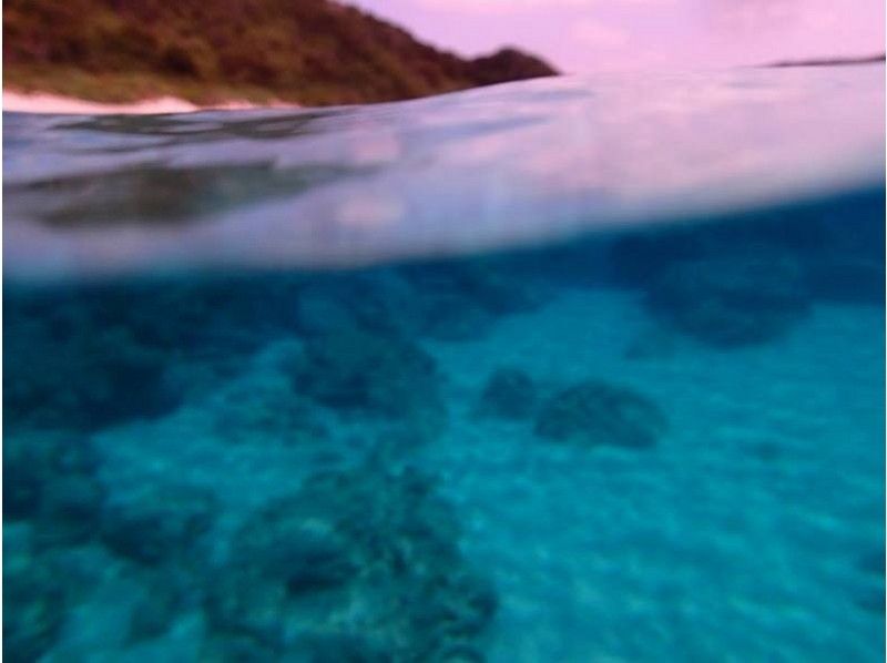 [จังหวัดโอกินาวา Kerama เกาะ] ดำน้ำพัดลมの紹介画像
