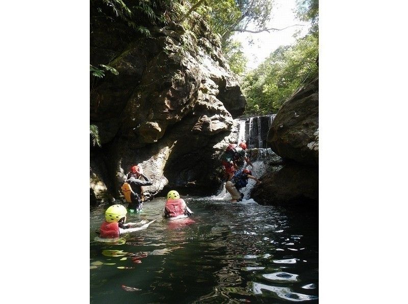 [Okinawa / Iriomote Island] This is definitely the summer! Pinaisara Falls & Canyoning Clear Stream Play!の紹介画像