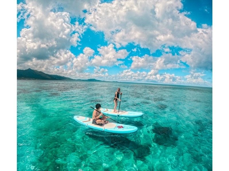 ⭐︎A completely private tour⭐︎Enjoy the popular SUP and snorkeling all at once✨We're confident that you'll be glad you came here!✨の紹介画像