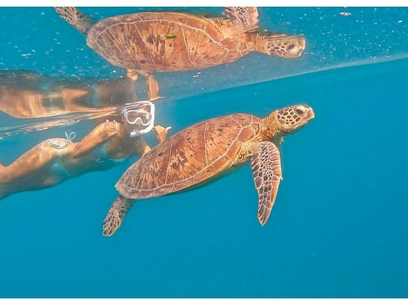 [Ishigaki Island] ★Private tour limited to one group★Super easy snorkeling on a SUP! ✨I'm sure you'll be glad you came here! ✨の紹介画像