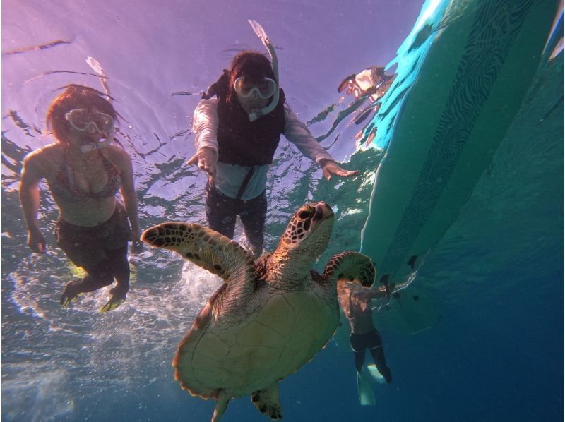 [Ishigaki Island] Limited to one group only: Choose from either <SUP & Snorkeling in the Island's Most Beautiful Sea> or <SUP & Sea Turtle Snorkeling>! A very popular tour!の紹介画像