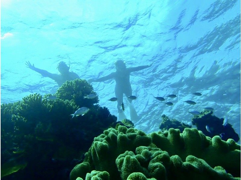 乘船浮潜、透明皮划艇、初学者船钓等宫古岛的回忆尽在一个视频中！の紹介画像