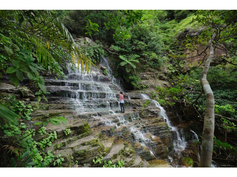 【沖縄・西表島】世界遺産のジャングルを！ゲータの滝へ〜絶景！ジャングルシャワーハイキング！お一人様大歓迎の紹介画像