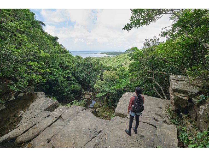 Iriomote Island Trekking Recommended Half-Day Tour Ranking Hidden Geta Falls Top of the waterfall A spectacular view of the greenery of the virgin forest and the coral reef sea