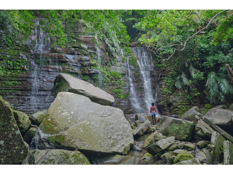 【沖縄・西表島】世界遺産のジャングルを！ゲータの滝へ〜絶景！ジャングルシャワーハイキング！お一人様大歓迎の紹介画像