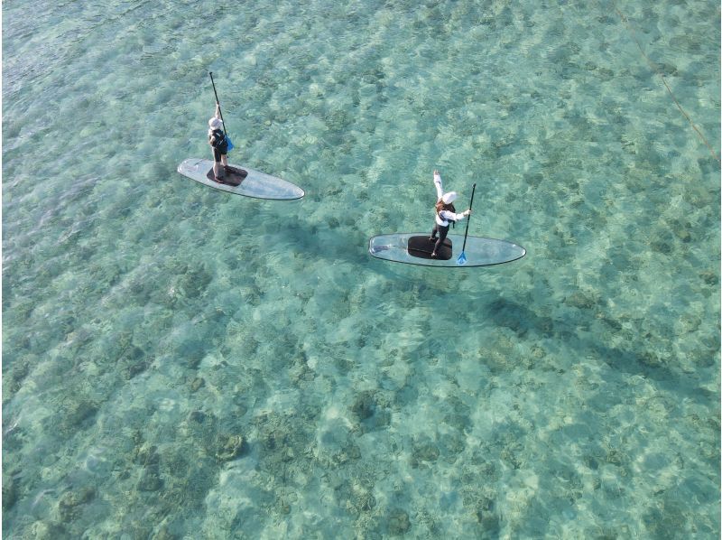 奄美大島【当日予約可能】クリアSUP（60分）※ドローン空撮等写真の無料プレゼントあり※お1人様もお任せ下さい☆の紹介画像