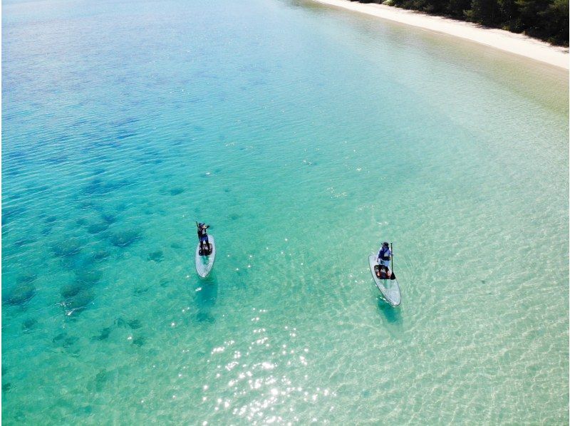 奄美大島【当日予約可能】クリアSUP（90分）※ドローン空撮等写真の無料プレゼントあり※お1人様もお任せ下さい☆の紹介画像
