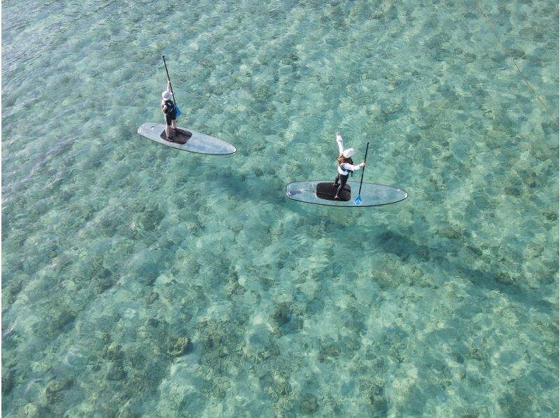 奄美大島【当日予約可能】クリアSUP（90分）※ドローン空撮、GoPro、水中カメラで撮影写真の無料プレゼントあり※お1人様もお任せ下さい☆