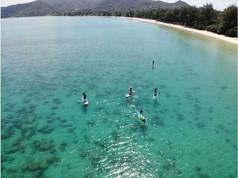 奄美大島【当日予約可能】クリアSUP（90分）※ドローン空撮、GoPro、水中カメラで撮影写真の無料プレゼントあり※お1人様もお任せ下さい☆
