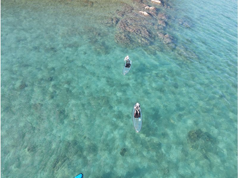 奄美大島【当日予約可能】クリアSUP（90分）※ドローン空撮、GoPro、水中カメラで撮影写真の無料プレゼントあり※お1人様もお任せ下さい☆