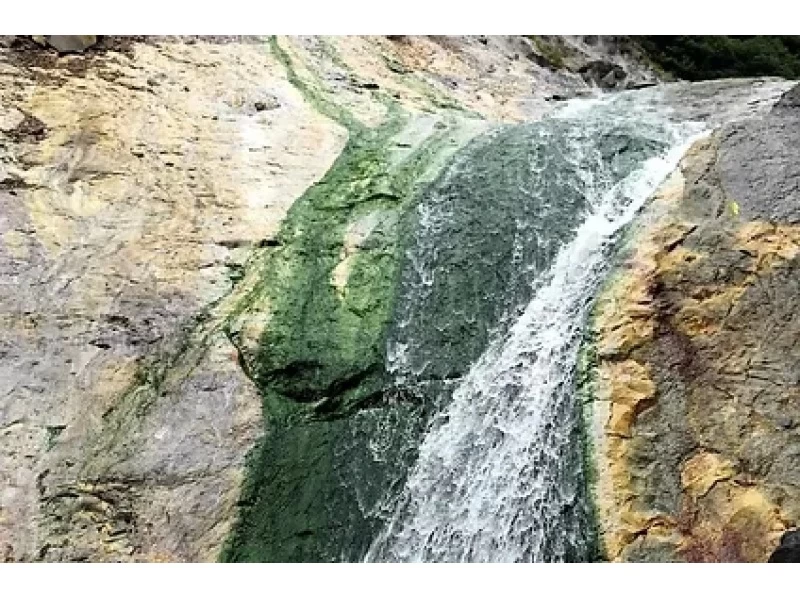 【北海道・知床】「カムイワッカ湯の滝」体験ツアー（7月限定）の紹介画像