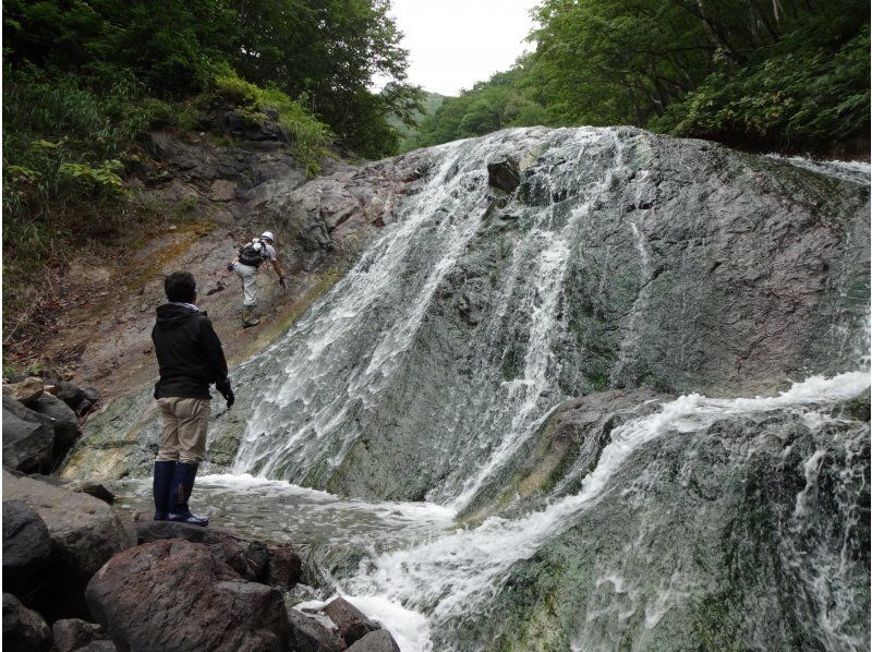 【北海道・知床】「カムイワッカ湯の滝」体験ツアー（7月限定）の紹介画像