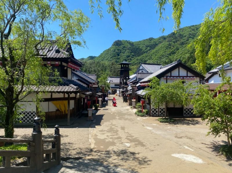 1 Day Round-trip train, Nikko Toshogu Shrine and Edo Wonderlandの紹介画像