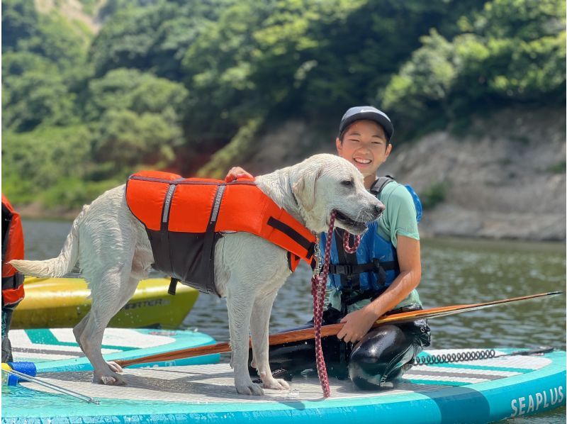 【東北・山形】白川湖SUPツアー！暑い夏こそ水遊び★ガイド付き2時間コースで初心者・ファミリーも安心＆写真プレゼントの紹介画像